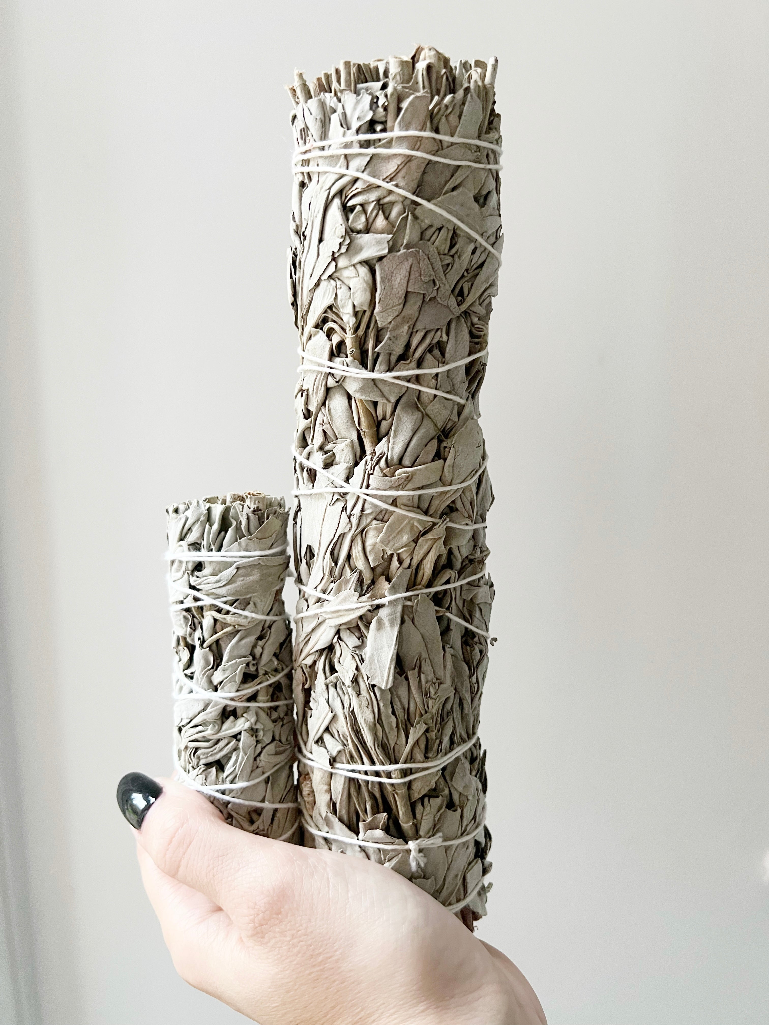 White Sage Smudge Stick